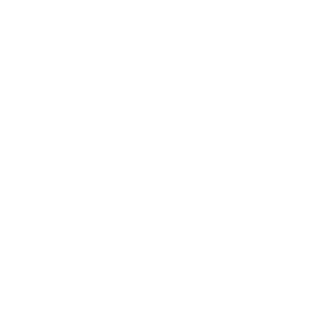 Latitude 65